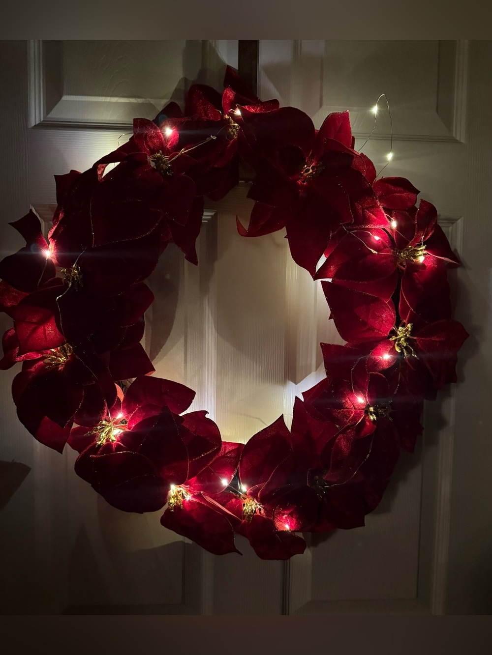 Prelit 20” Christmas Wreath with Poinsettias, Two Light Packs for Front Door